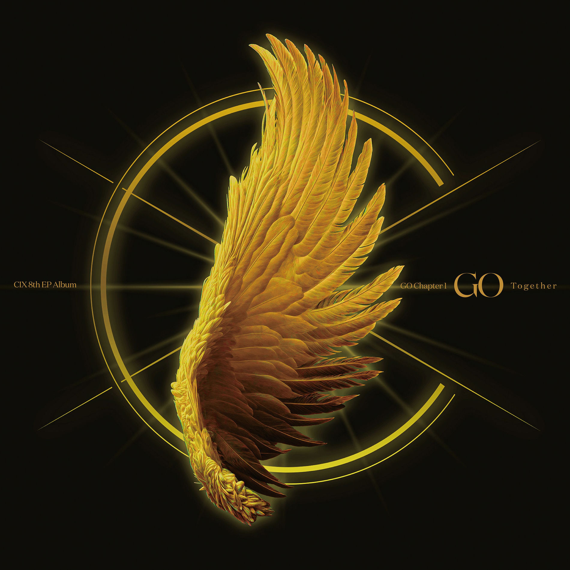 GO Chapter 1 : GO Together