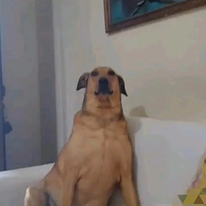 crixky