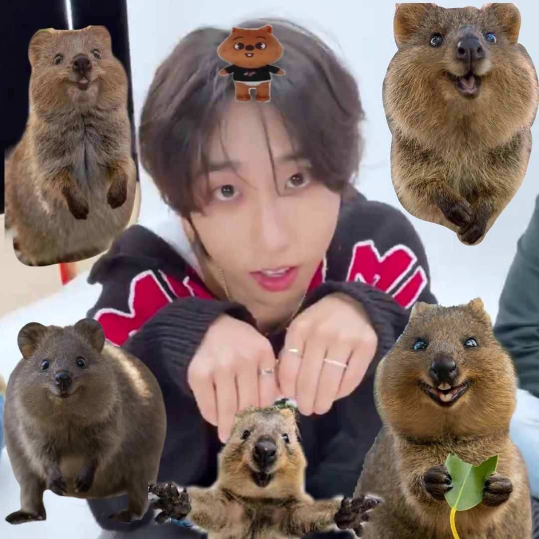 Hanji wl