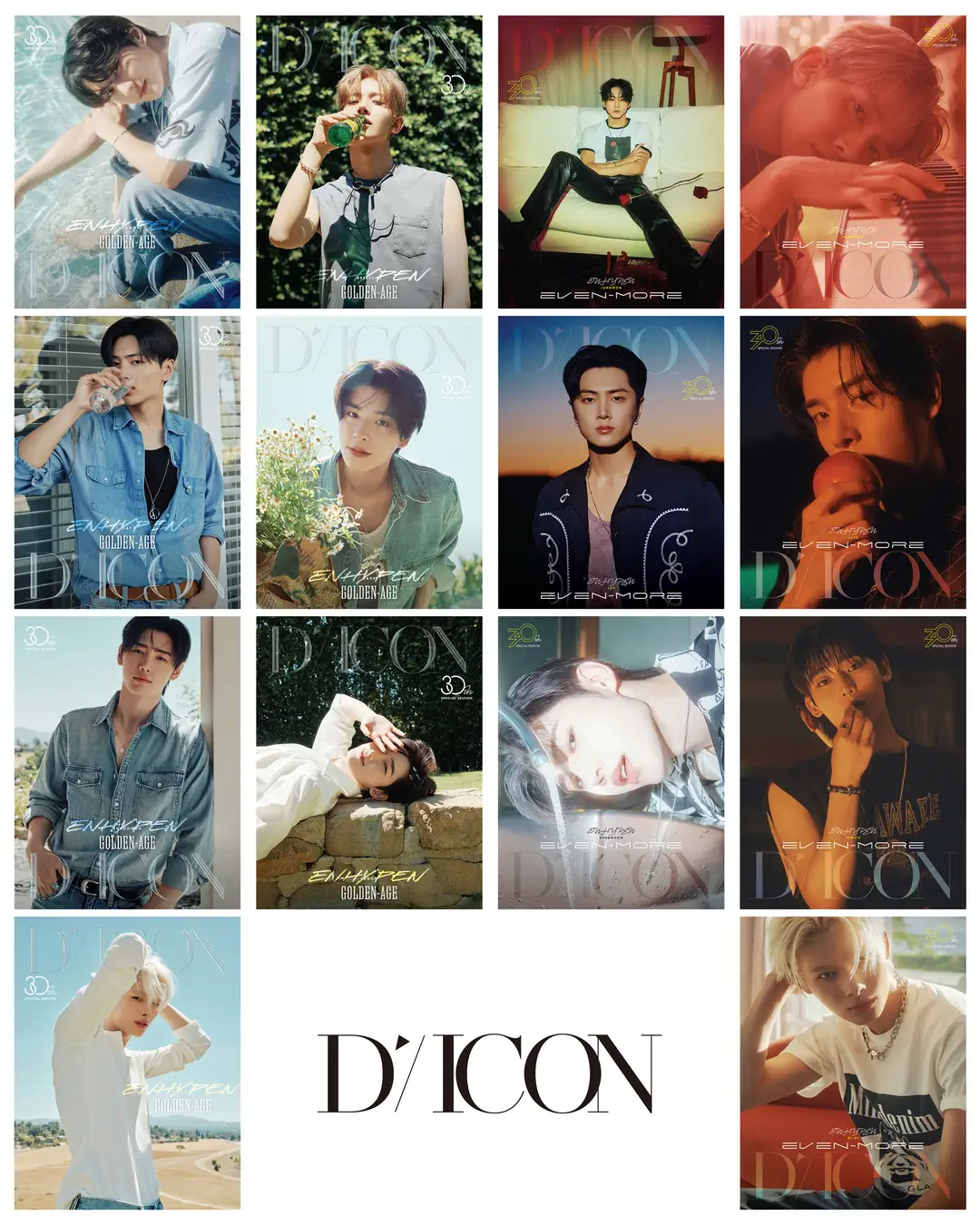 DICON VOLUME Nº30 SPECIAL EDITION