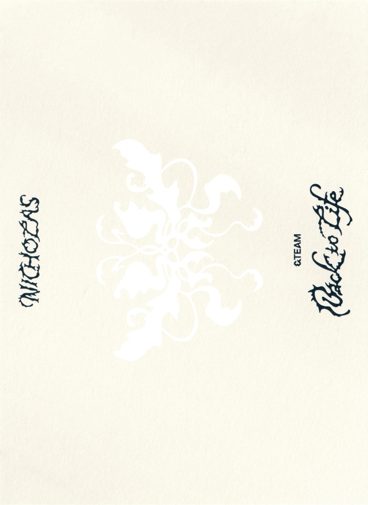 Nicholas &TEAM photocard back side - Postcard Set