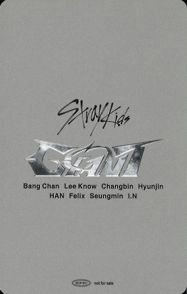 Seungmin Stray Kids photocard back side - 11/17 - Tokyo Dome
