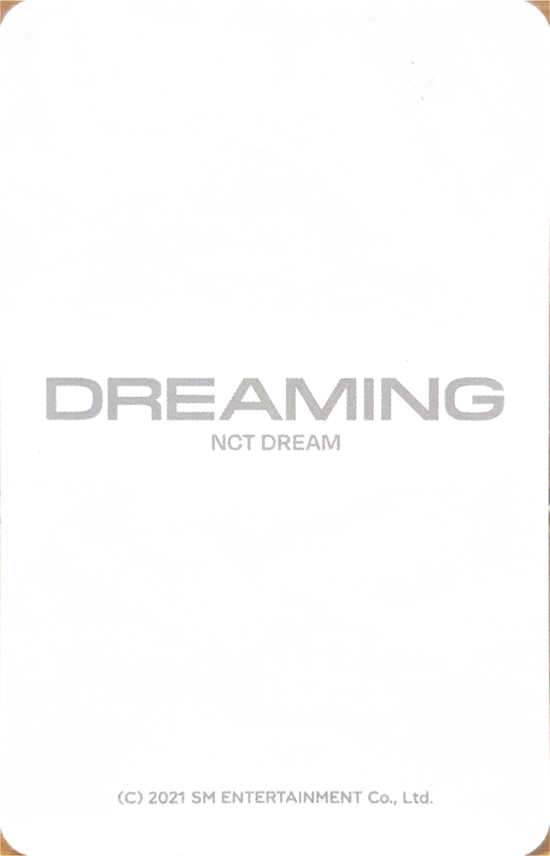 Jisung NCT DREAM photocard back side - Luggage
