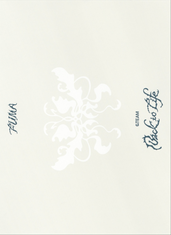 Fuma &TEAM photocard back side - Postcard Set