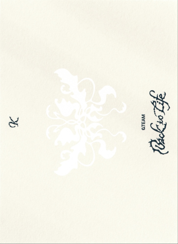 K &TEAM photocard back side - Postcard Set