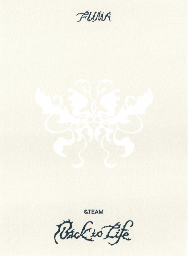 Fuma &TEAM photocard back side - Postcard Set