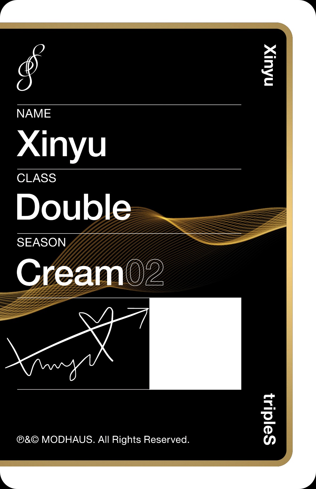 Xinyu tripleS photocard back side - Double Class Objekt