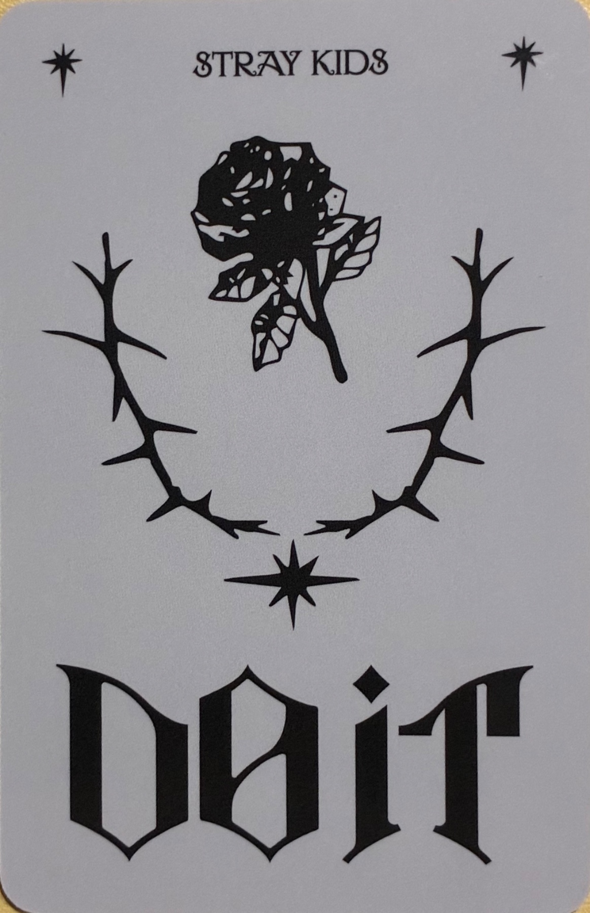 Bang Chan Stray Kids photocard back side - Preorder