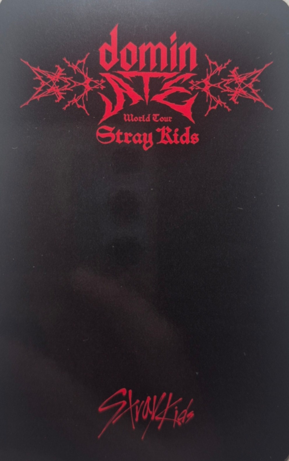 I.N Stray Kids photocard back side - Online Benefit