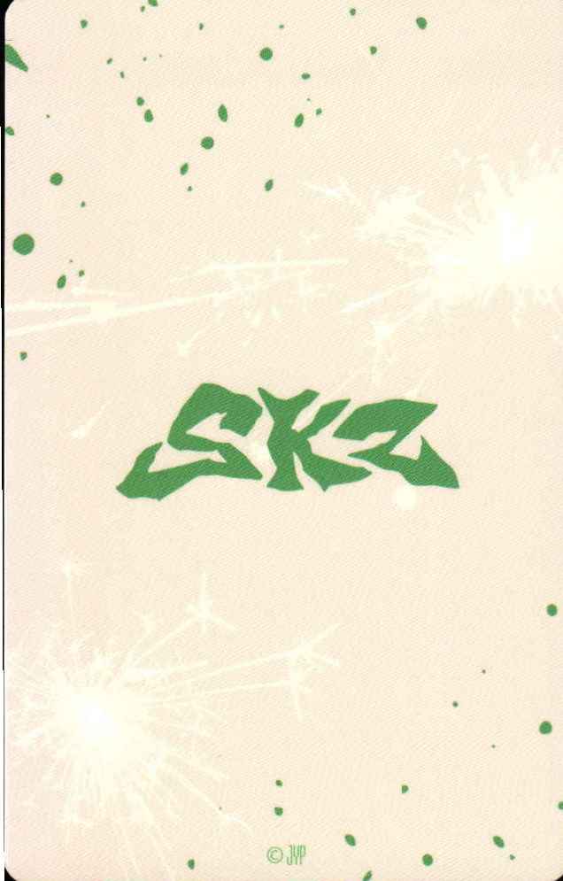 Changbin Stray Kids photocard back side - Photocard set