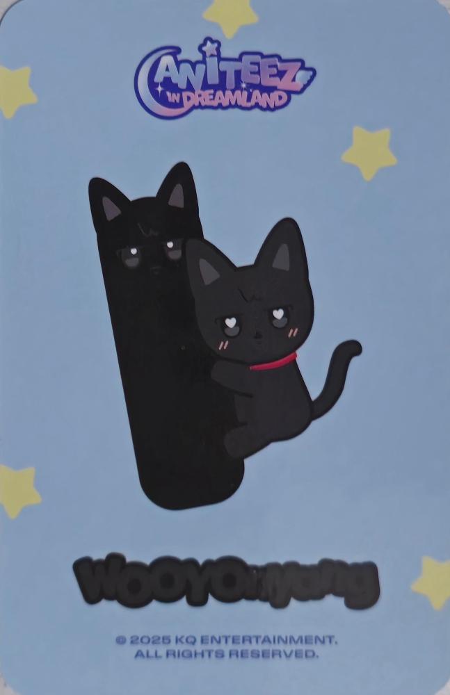 Wooyoung ATEEZ photocard back side - Mini Body Pillow