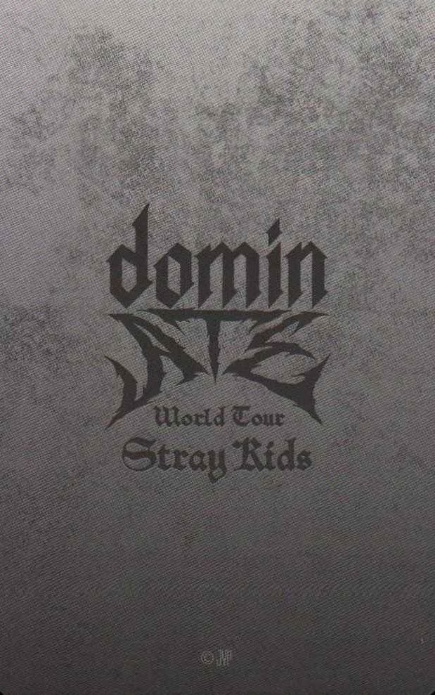 Lee Know, Seungmin, Changbin, Bang Chan, Hyunjin, Han, Felix, Woojin, I.N Stray Kids photocard back side - Photocards / STADIUM (Japan)