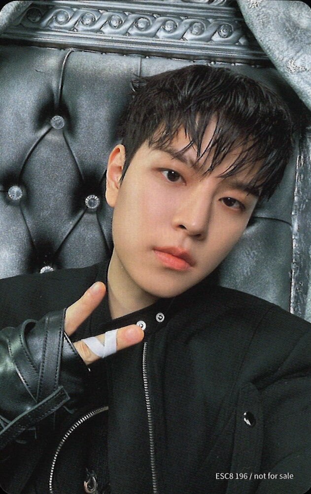 Seungmin Stray Kids photocard back side - Photocard