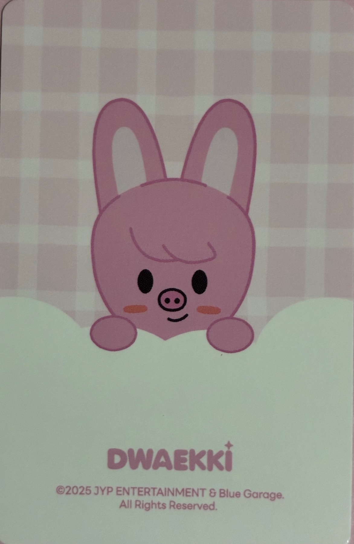 Changbin Stray Kids photocard back side - SKZOO Tincase