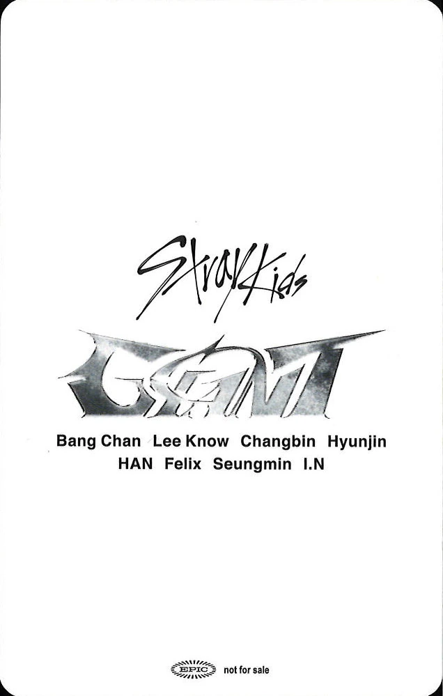 Felix Stray Kids photocard back side - 11/14 - Tokyo Dome