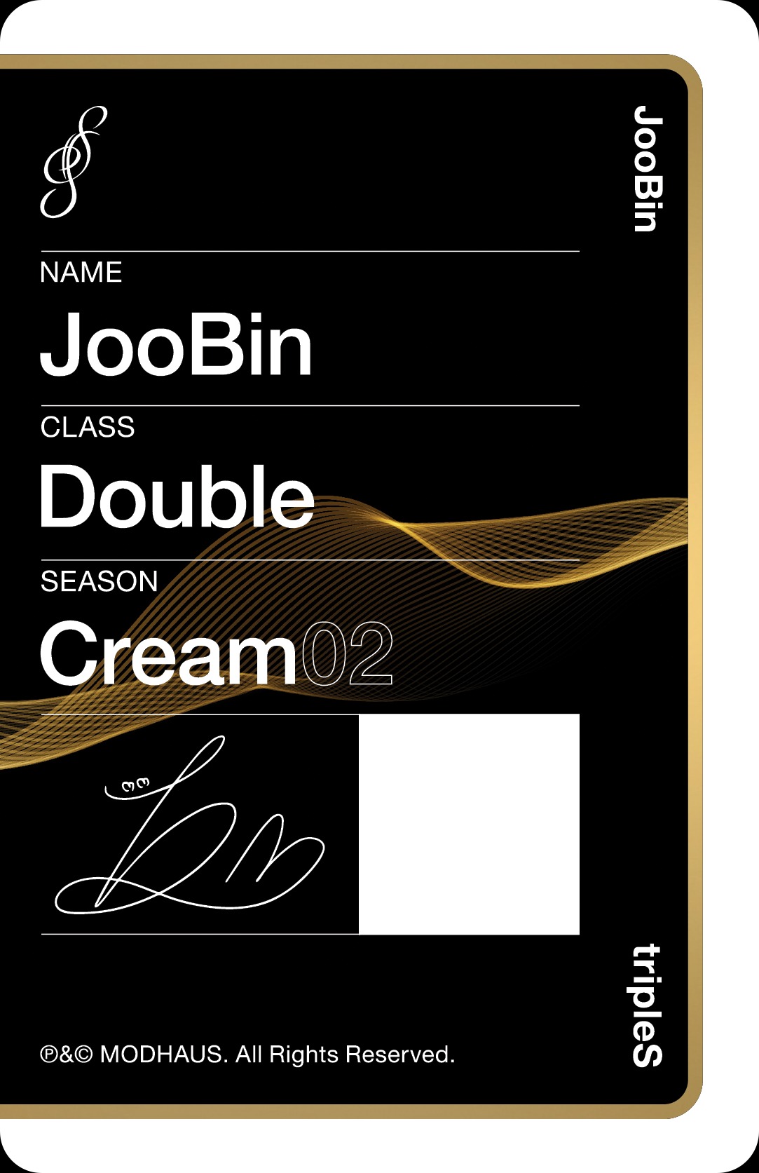 Joobin tripleS photocard back side - Double Class Objekt
