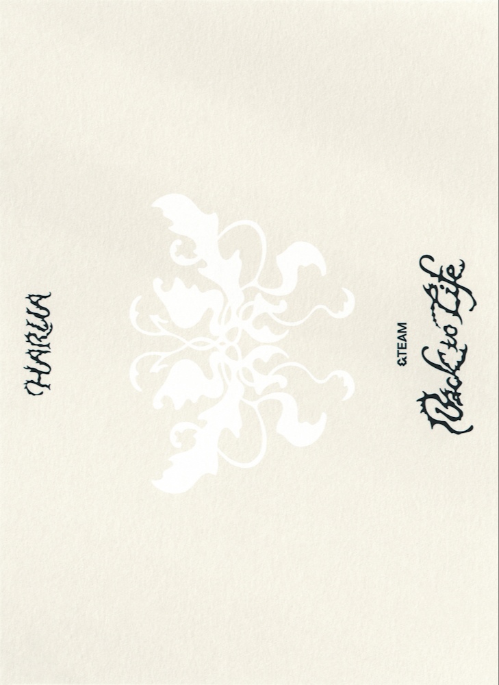 Harua &TEAM photocard back side - Postcard Set