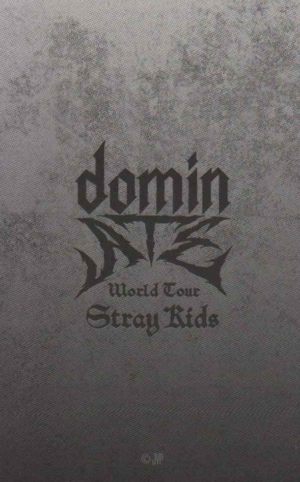 Bang Chan Stray Kids photocard back side - Photocards / STADIUM (Japan)