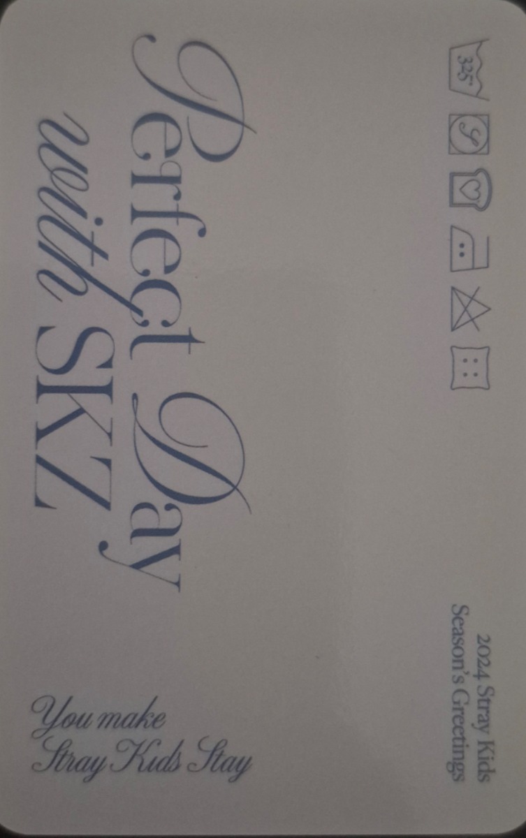 Seungmin Stray Kids photocard back side - Selfie Photocard Set