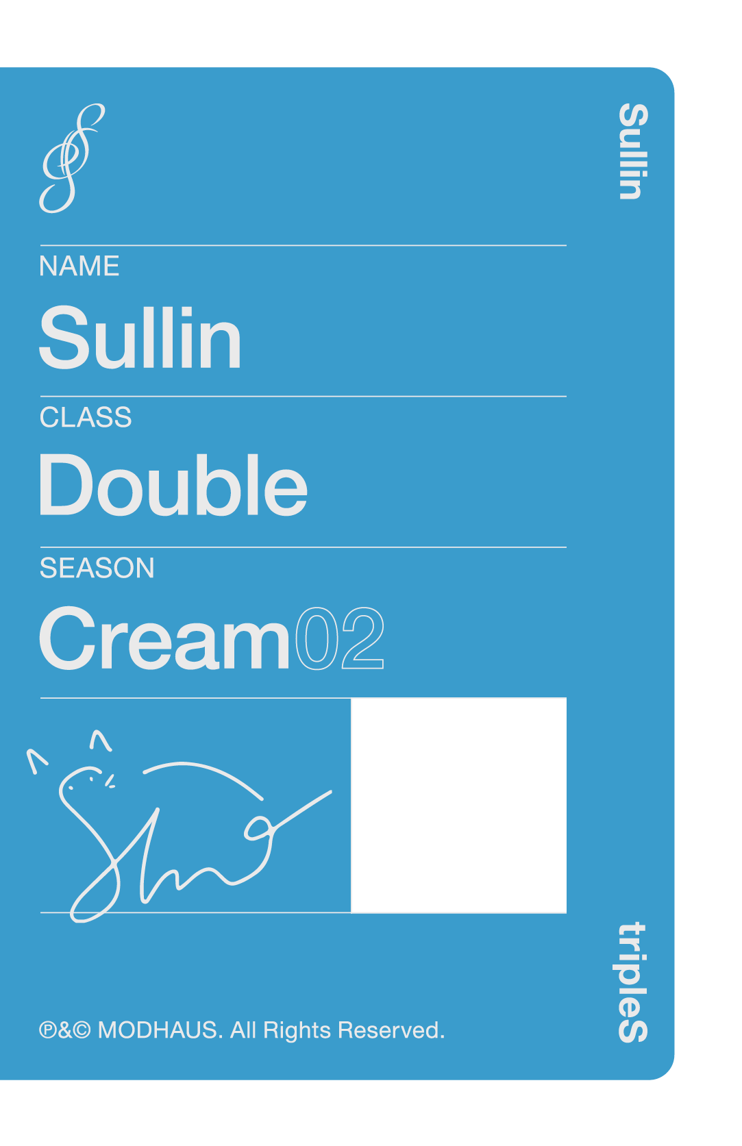 Sullin tripleS photocard back side - Double Class Objekt