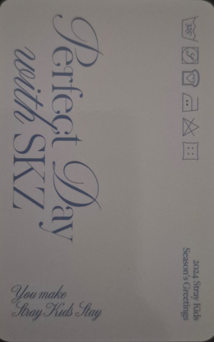 Felix Stray Kids photocard back side - Selfie Photocard Set