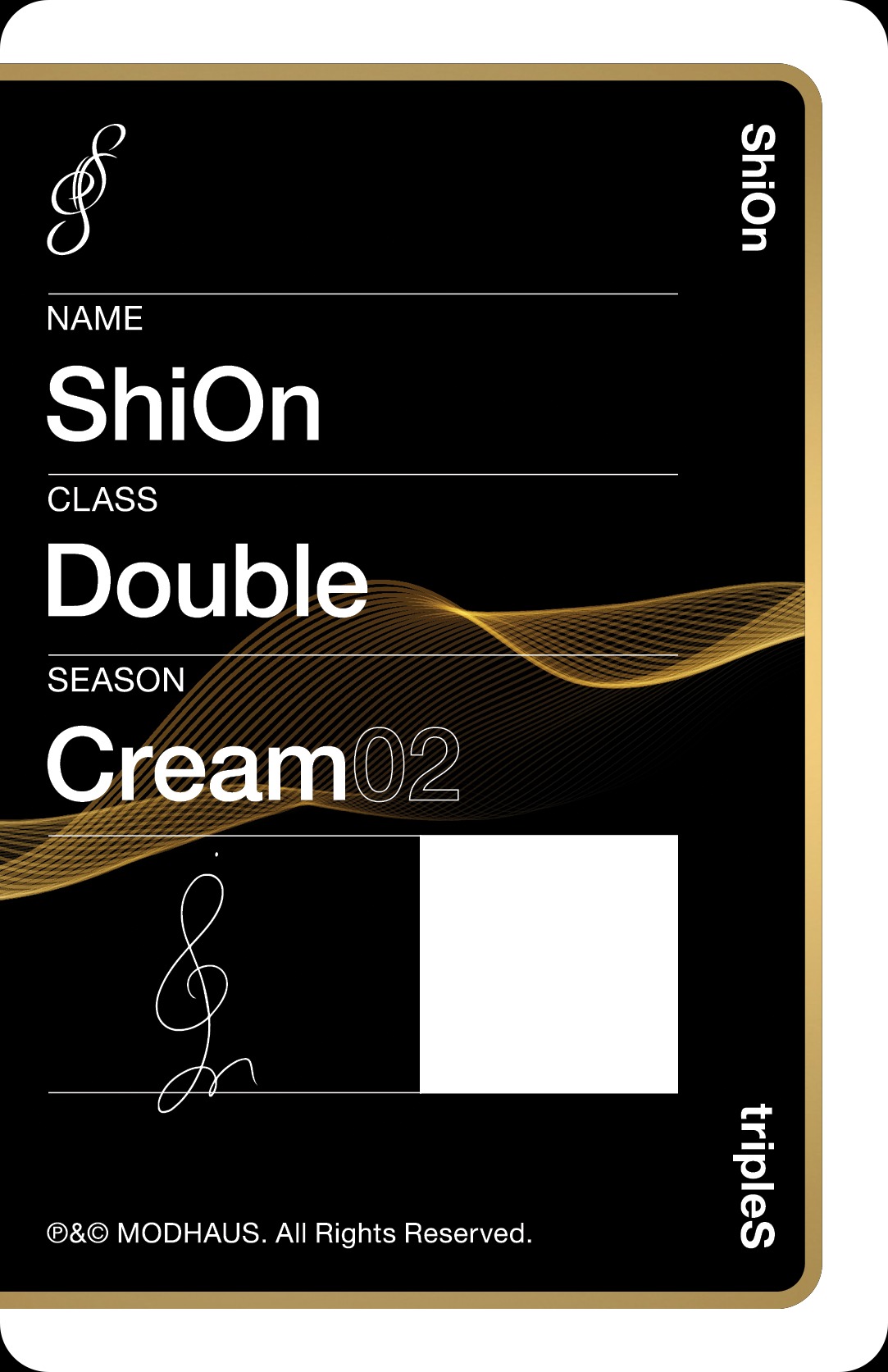 Shion tripleS photocard back side - Double Class Objekt