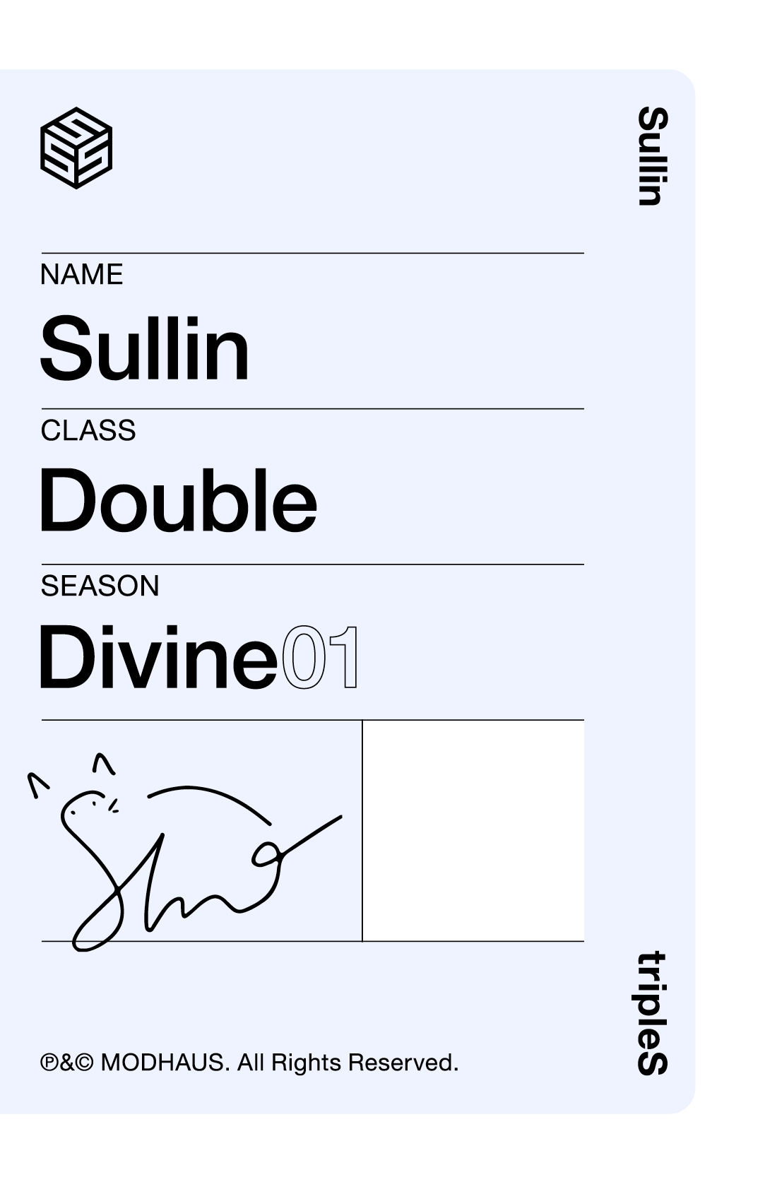 Sullin tripleS photocard back side - Double Class Objekt