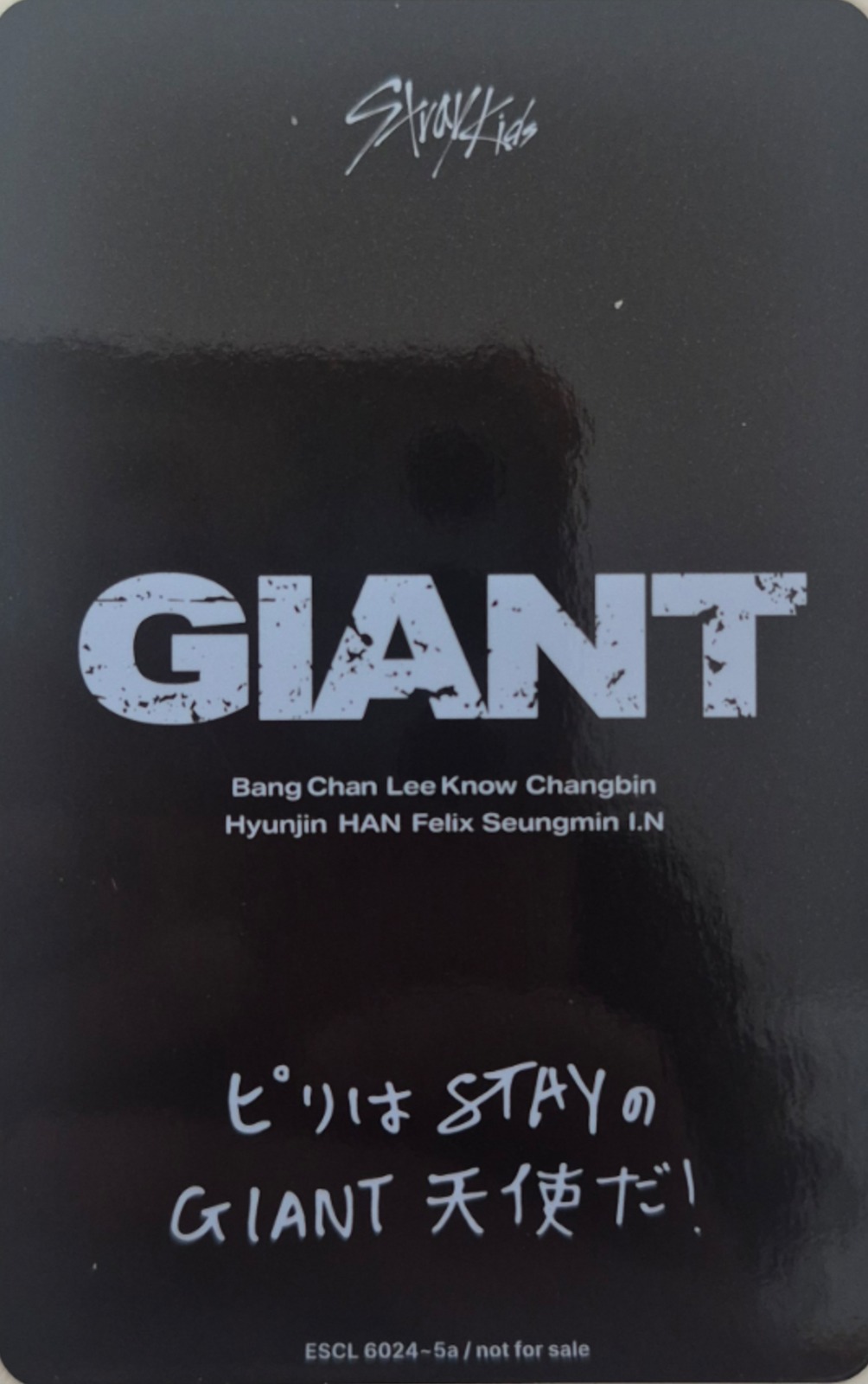 Felix Stray Kids photocard back side - Selfie Photocard