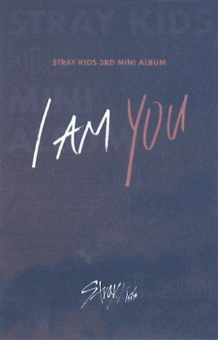 Hyunjin Stray Kids photocard back side - Preorder Only
