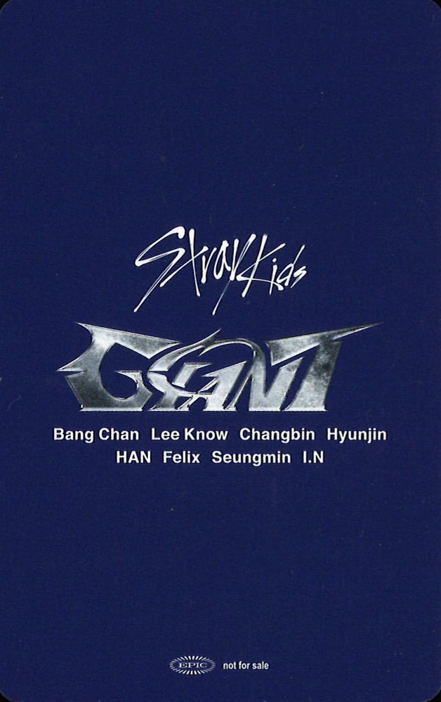 Bang Chan Stray Kids photocard back side - Tokyo Dome (all Day)