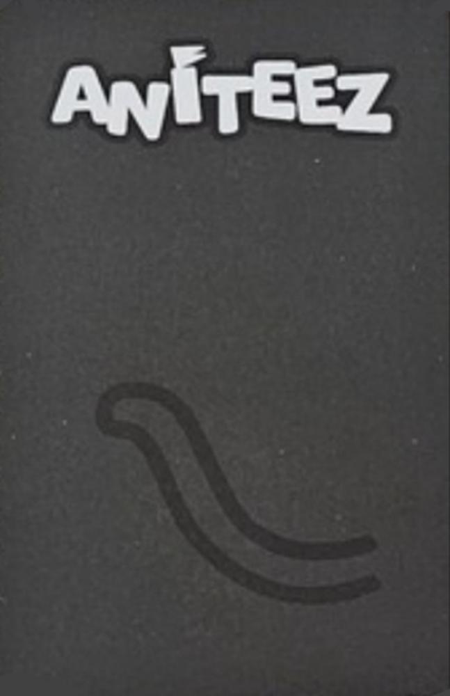 Wooyoung ATEEZ photocard back side - Random Trading Card