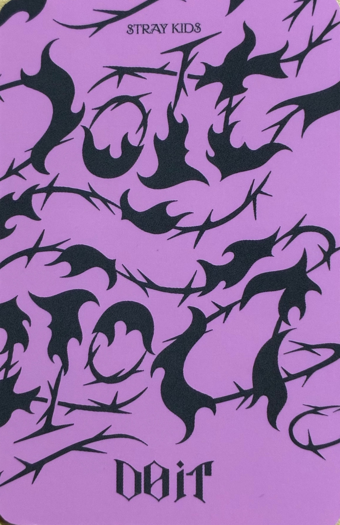 Seungmin, Bang Chan Stray Kids photocard back side - Unit Photocard