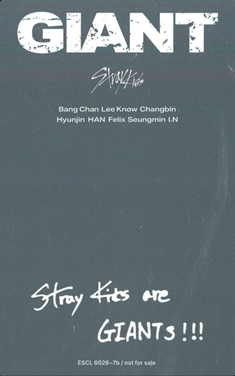 I.N Stray Kids photocard back side - Concept Photocard