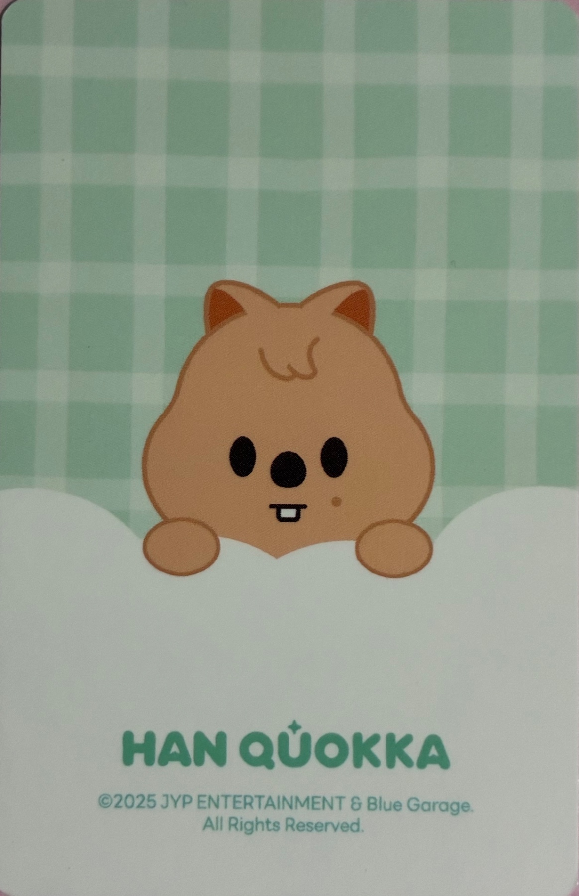 Han Stray Kids photocard back side - SKZOO Tincase