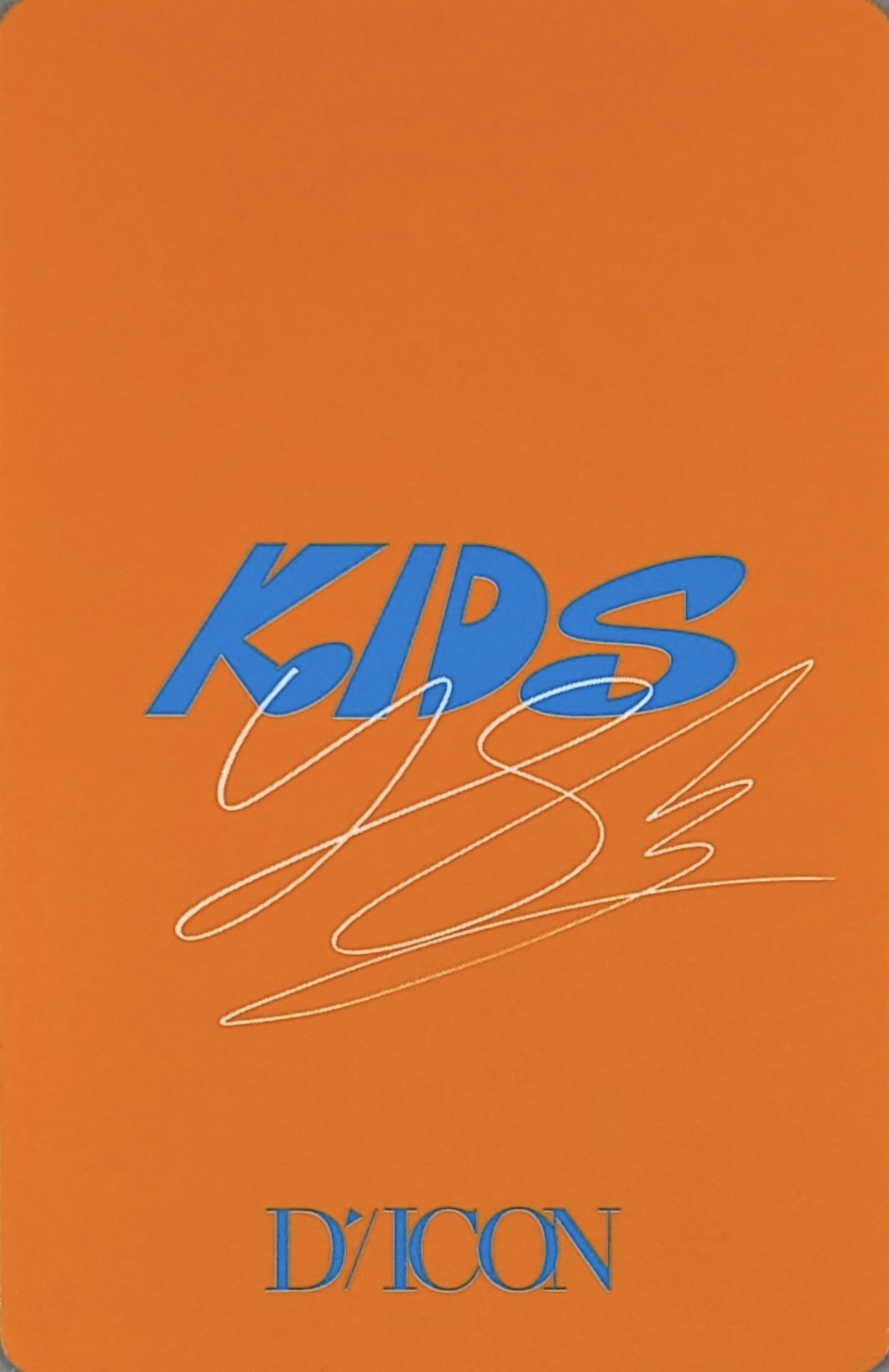 Felix Stray Kids photocard back side - Photocard
