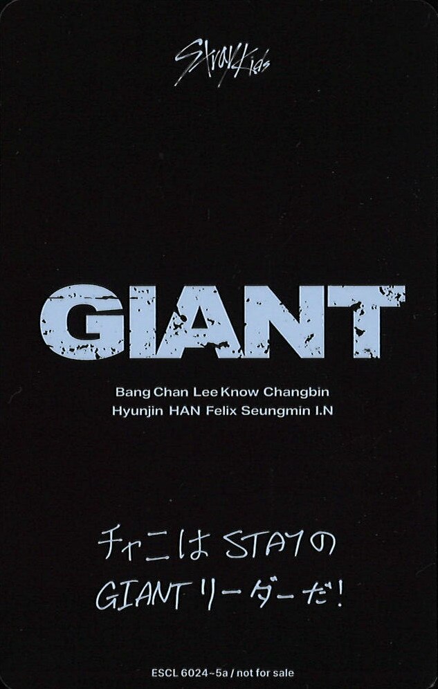 Bang Chan Stray Kids photocard back side - Selfie Photocard
