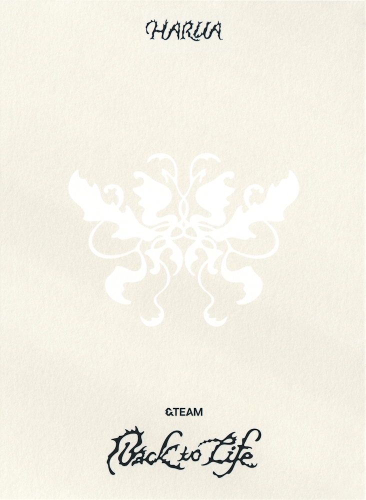 Harua &TEAM photocard back side - Postcard Set