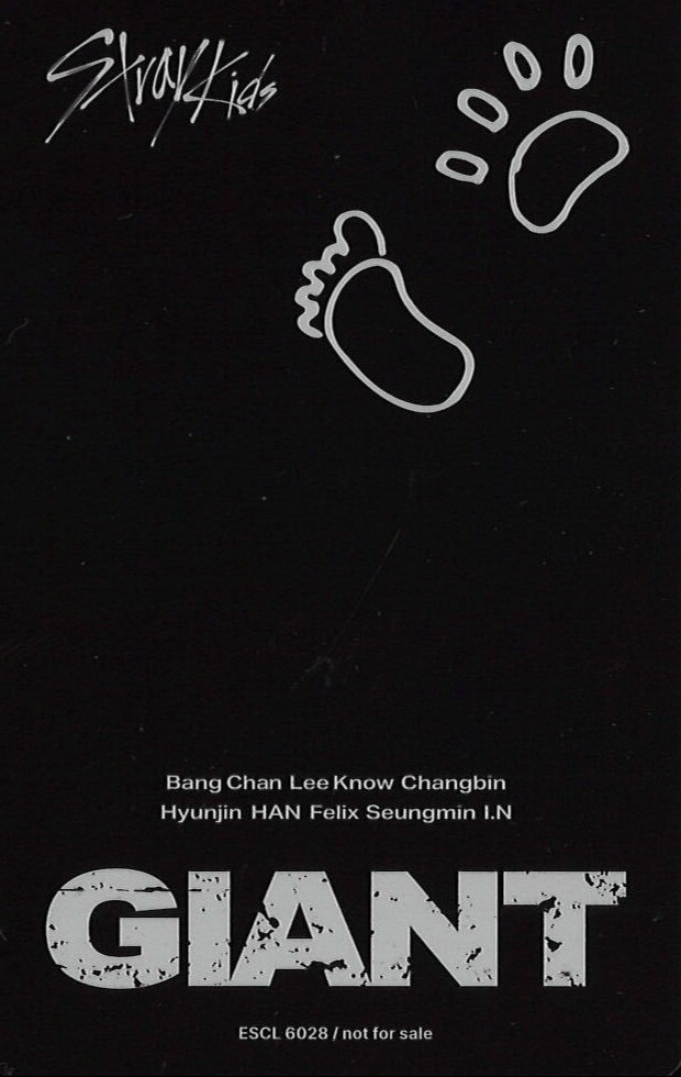 I.N Stray Kids photocard back side - Photocard