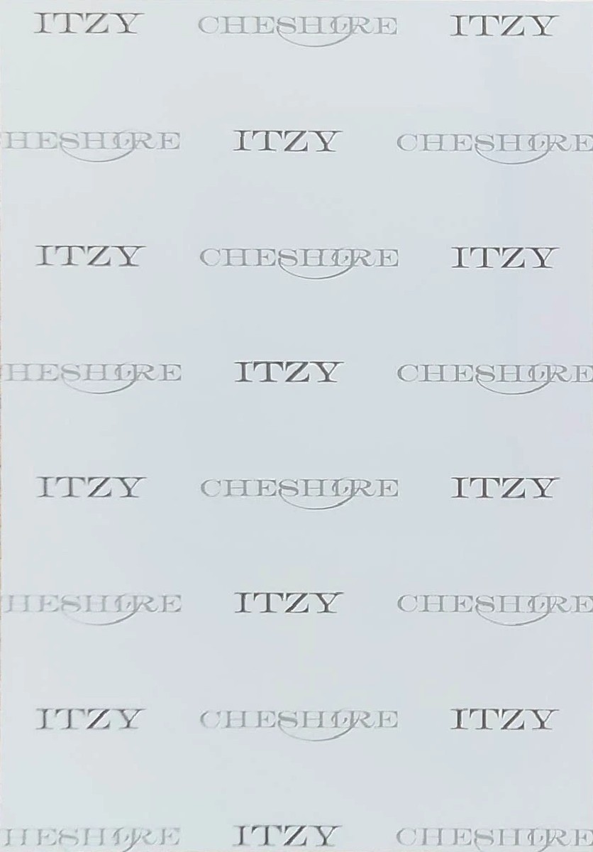 Yeji ITZY photocard back side - Set Benefit