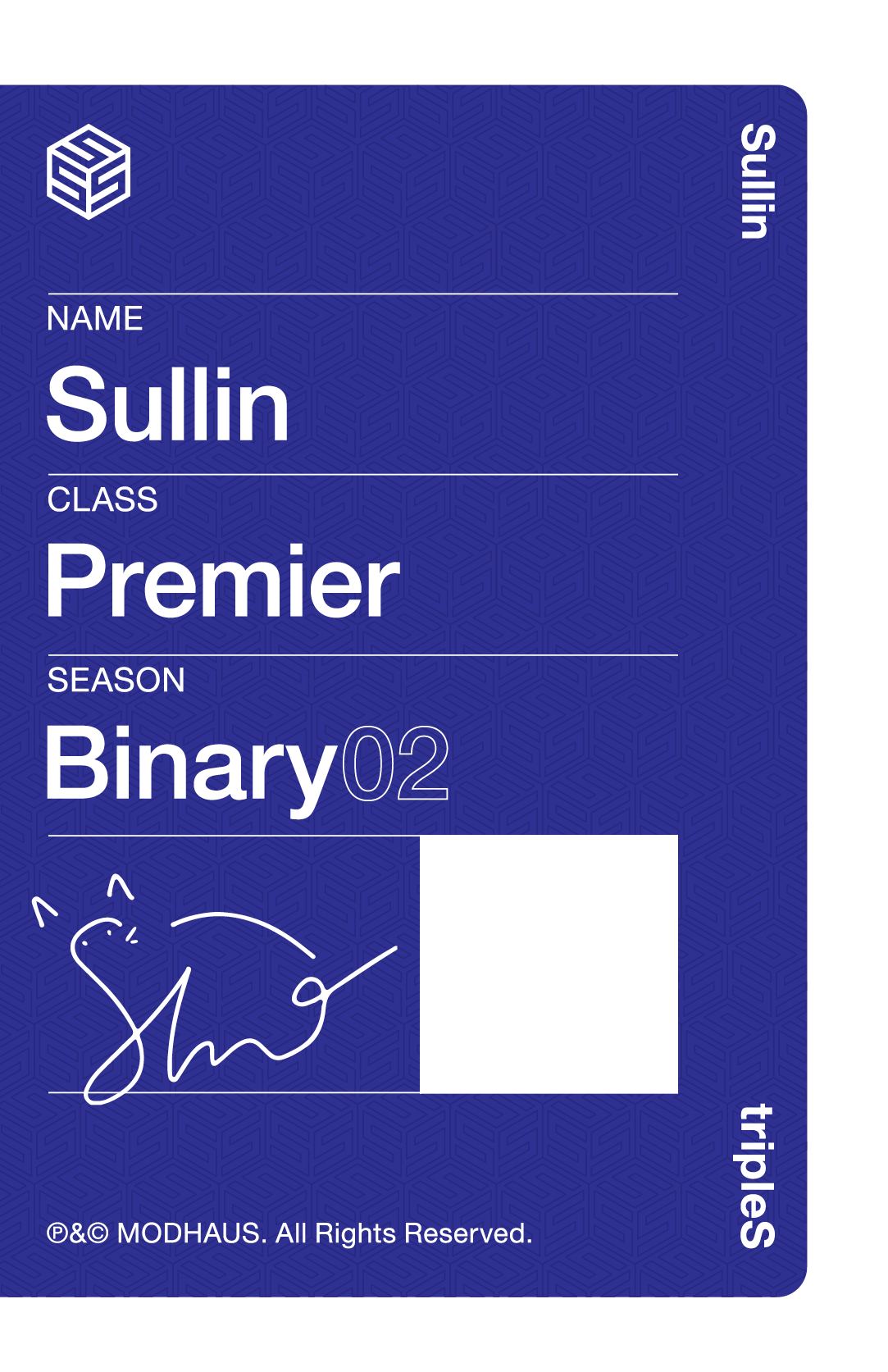 Sullin tripleS photocard back side - Leader Premier Objekt