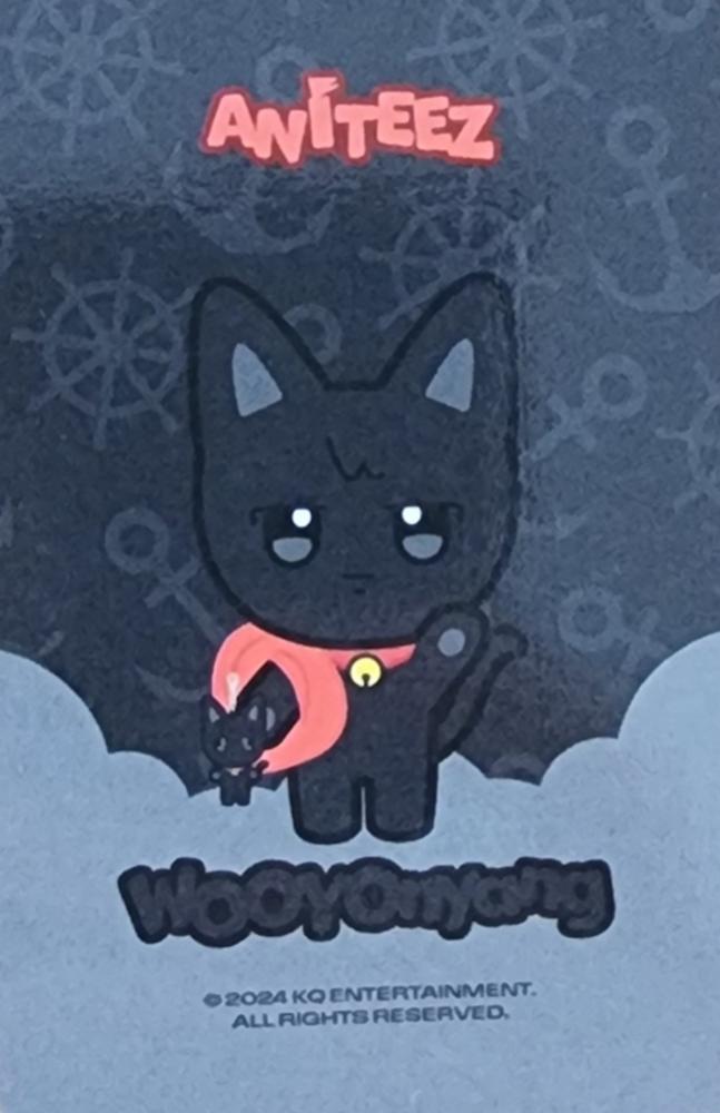 Wooyoung ATEEZ photocard back side - Plush Keyring