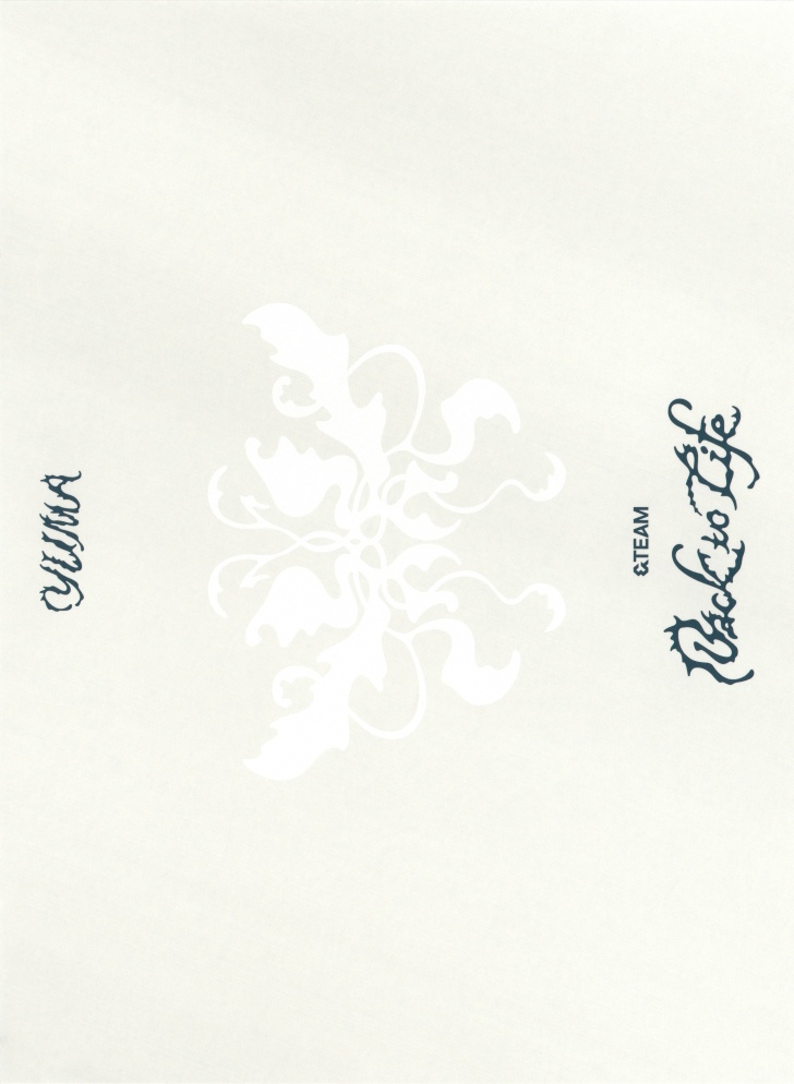 Yuma &TEAM photocard back side - Postcard Set