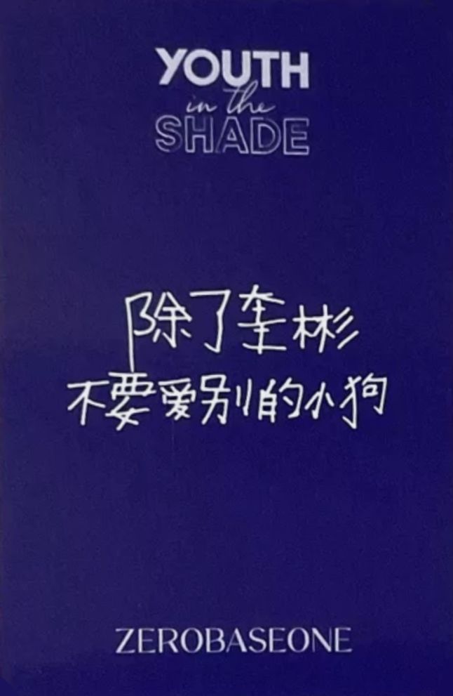 Gyuvin ZEROBASEONE photocard back side - China Preorder