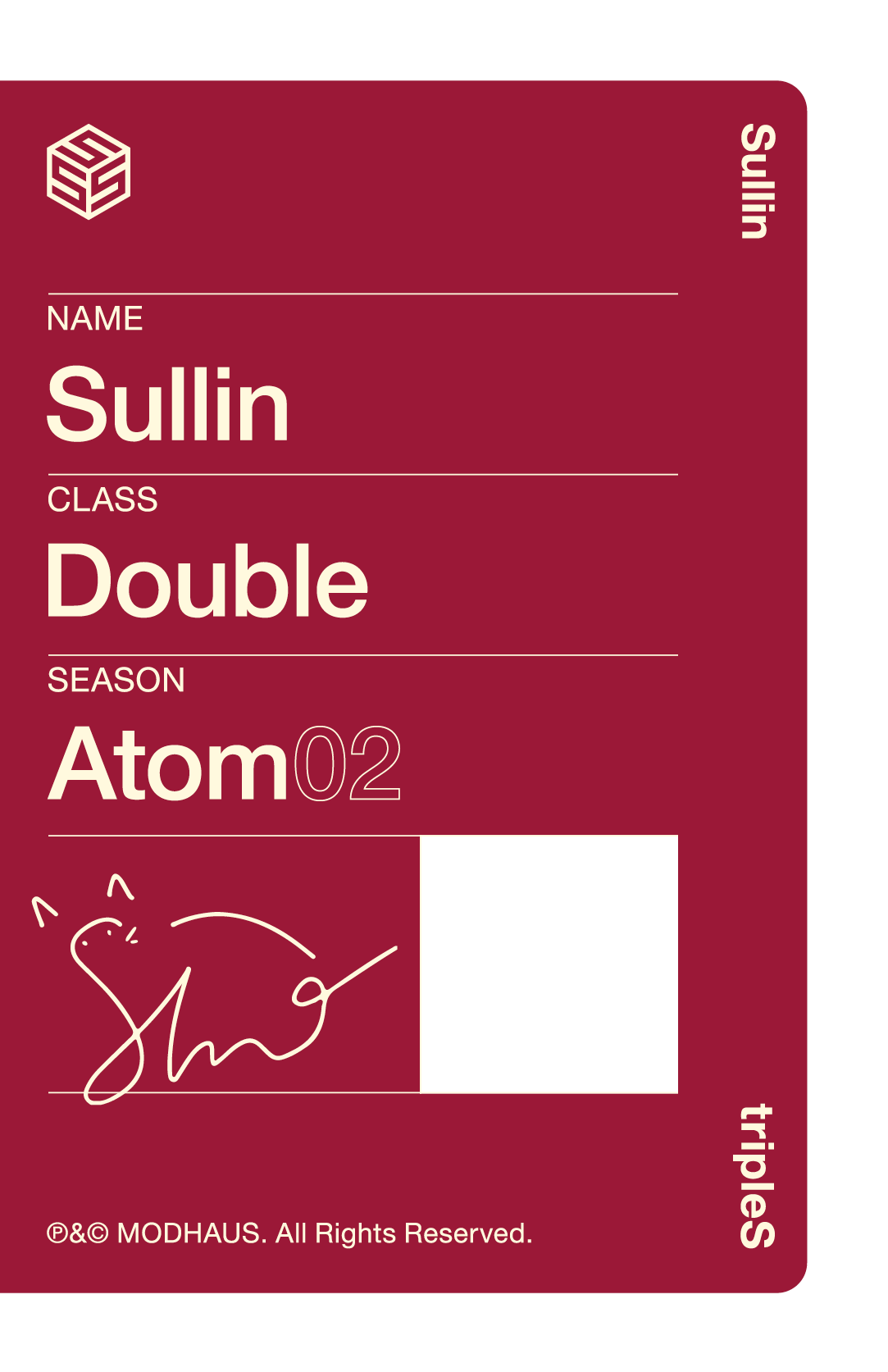 Sullin tripleS photocard back side - Double Class Objekt