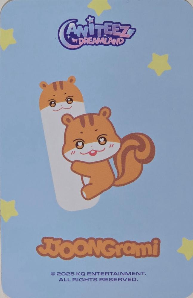 Hongjoong ATEEZ photocard back side - Mini Body Pillow