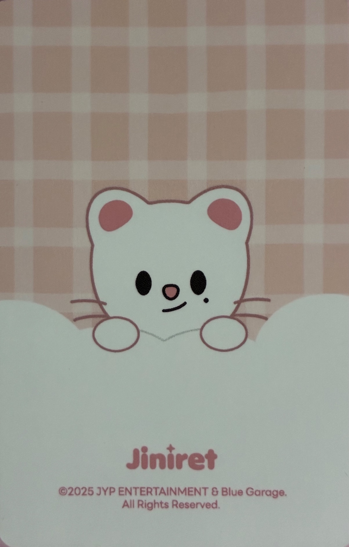 Hyunjin Stray Kids photocard back side - SKZOO Tincase