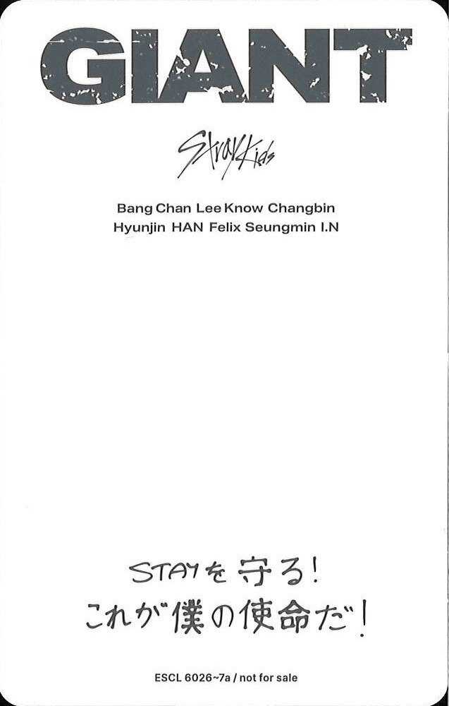 Bang Chan Stray Kids photocard back side - Selfie Photocard