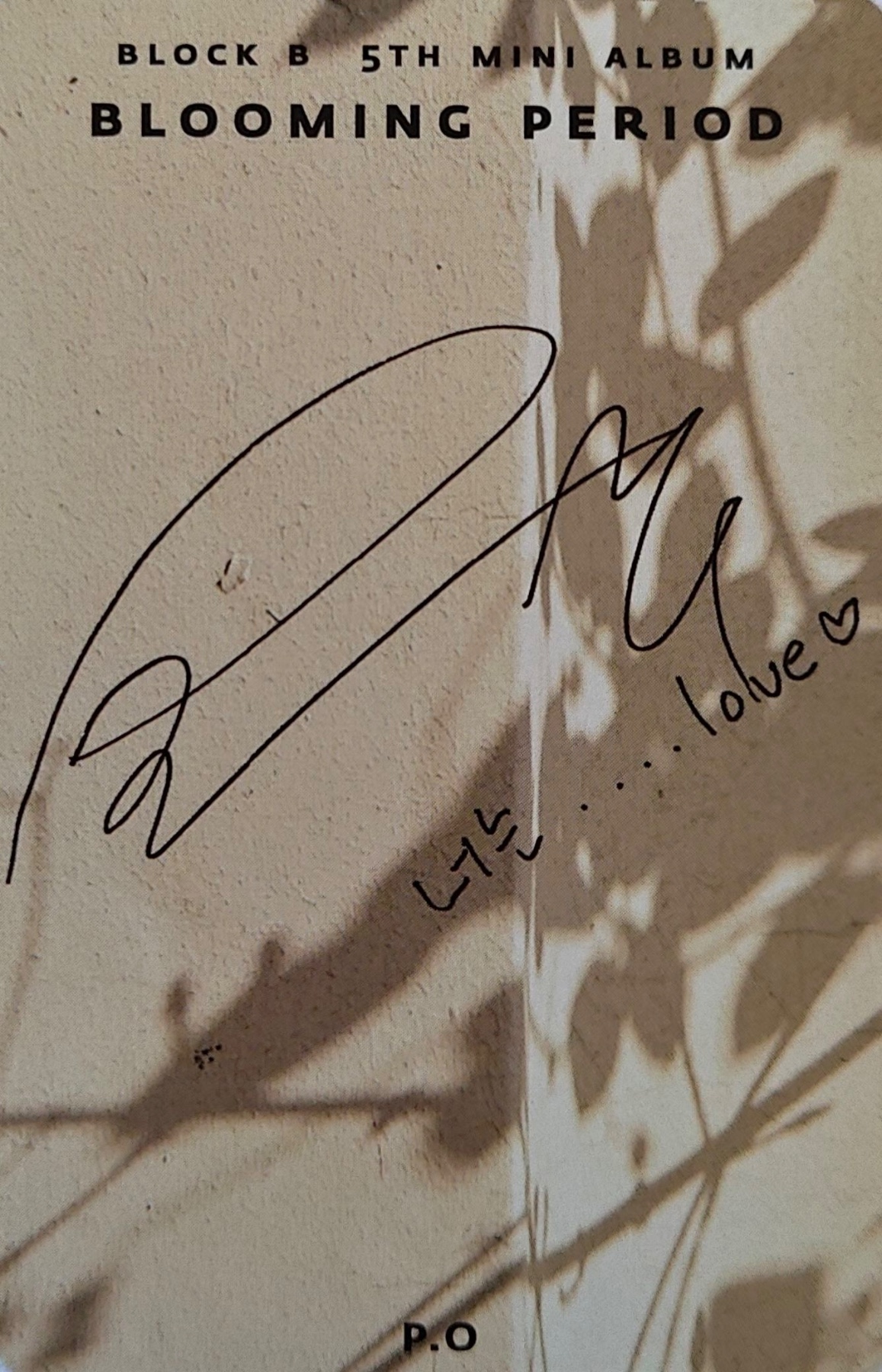 P.O Block B photocard back side - Photocard
