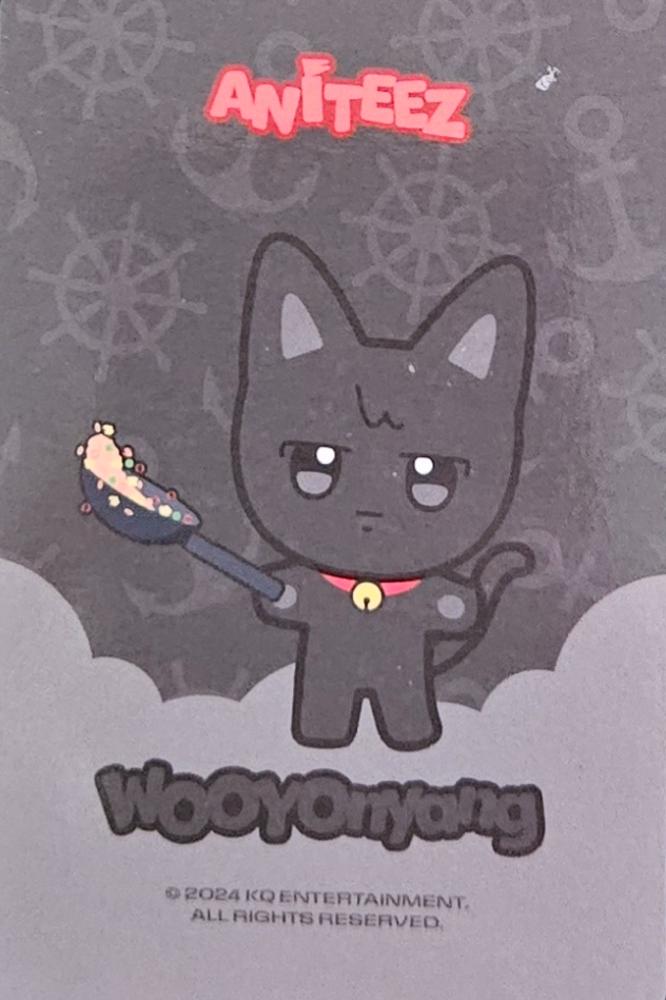 Wooyoung ATEEZ photocard back side - Acrylic PC Frame Kit - ANITEEZ Ver.