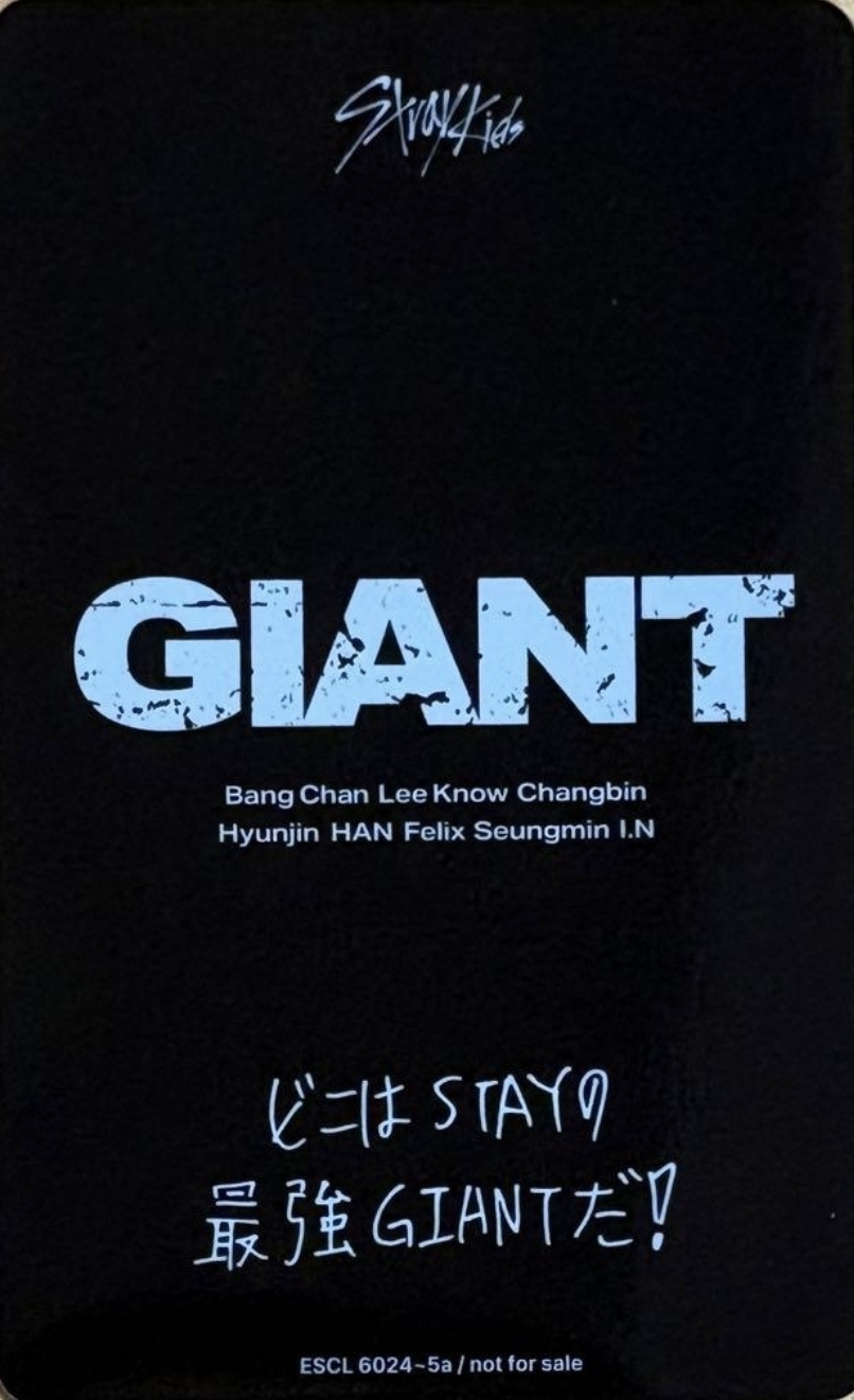 Changbin Stray Kids photocard back side - Selfie Photocard